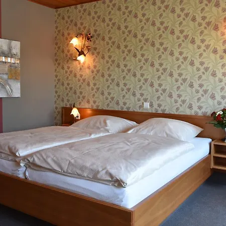 Hotel Haus Tiefenbach 4*